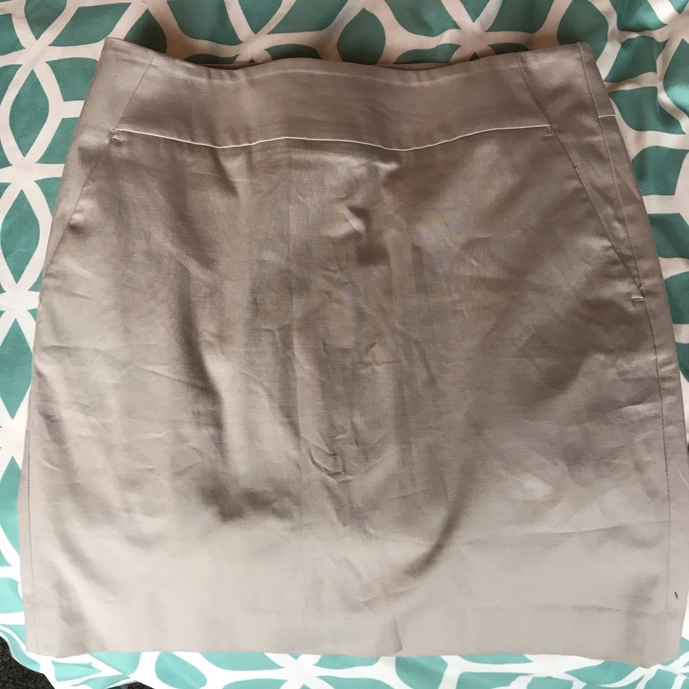 Ann Taylor Skirt